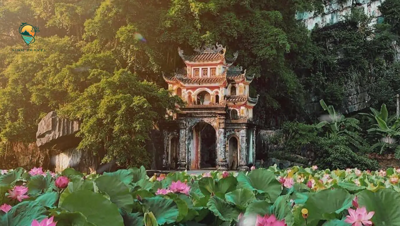 Tour Ninh Bình 1 ngày
